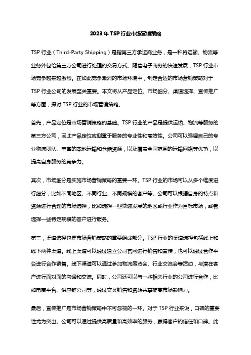 2023年TSP行业市场营销策略