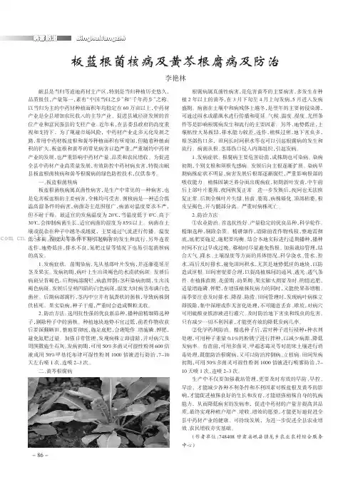 板蓝根菌核病及黄芩根腐病及防治