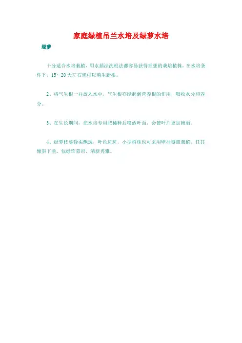 家庭绿植吊兰水培及绿萝水培