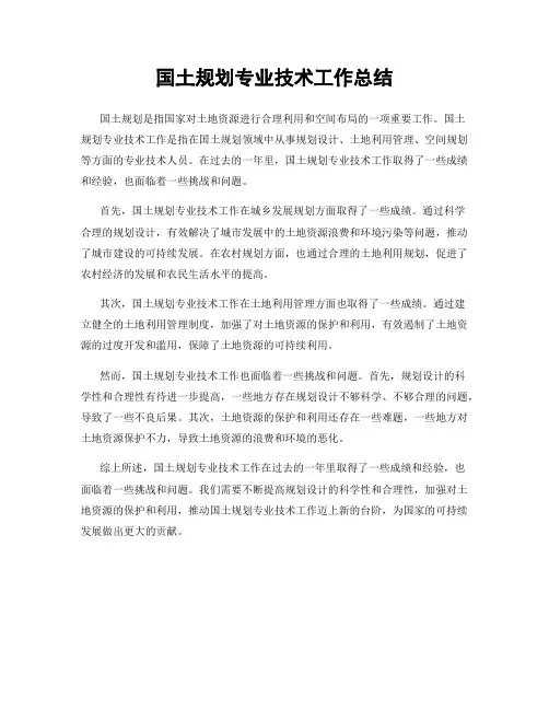 国土规划专业技术工作总结