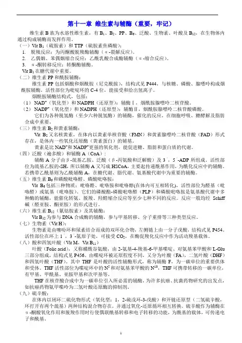 11第十一章  维生素与辅酶