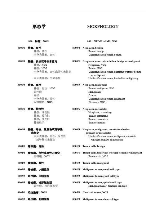 形态学编码.