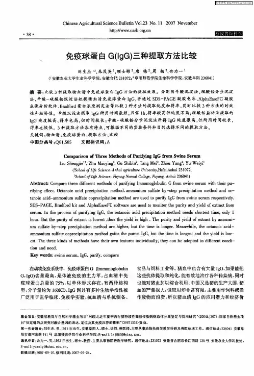 免疫球蛋白G(IgG)三种提取方法比较