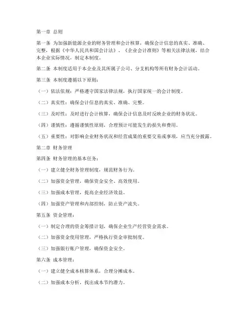 新能源企业财务会计制度范本