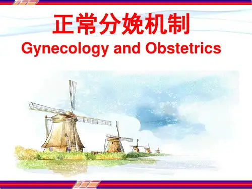 正常分娩机制 PPT