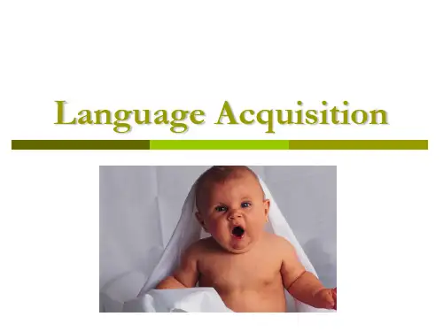first language acquisition 大学英语语言学课件