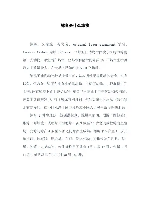 鲸鱼是什么动物