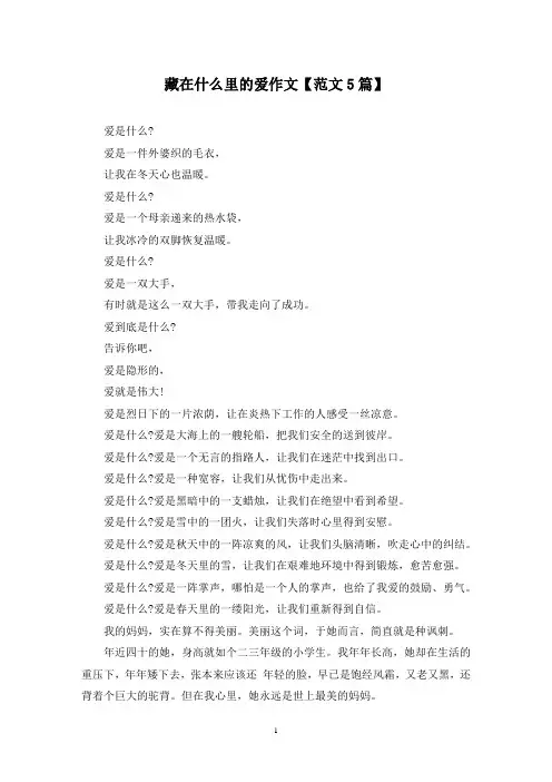 精选藏在什么里的爱作文【范文5篇】