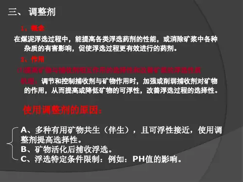 浮游选矿课件2.4