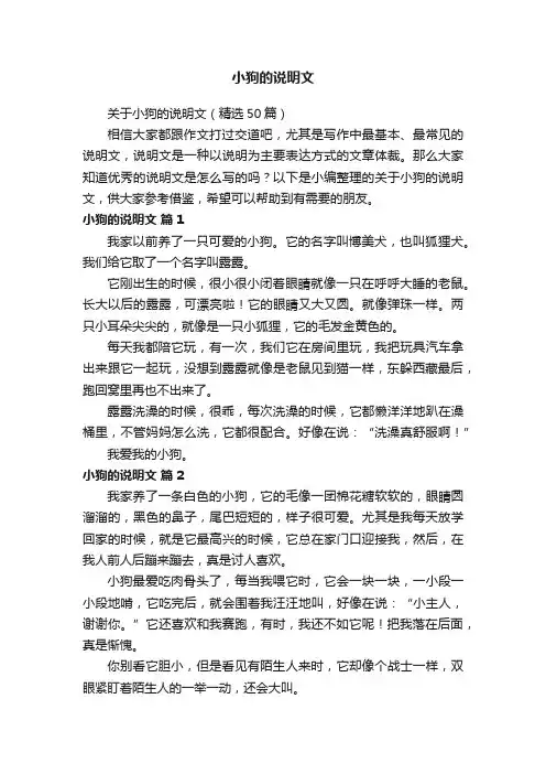 关于小狗的说明文（精选50篇）