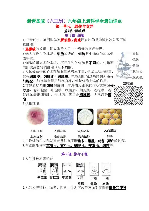 最新版青岛版小学科学六年级上册知识点汇总
