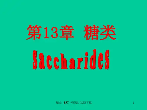 糖的概念和分类教学课件