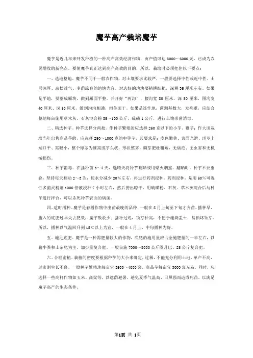 魔芋高产栽培魔芋