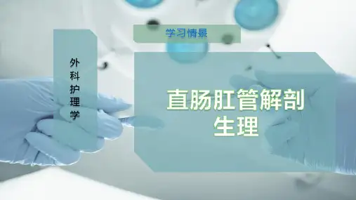 直肠肛管解剖生理