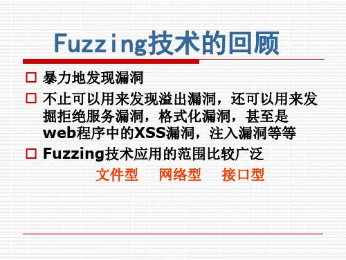 fuzzer教程文稿