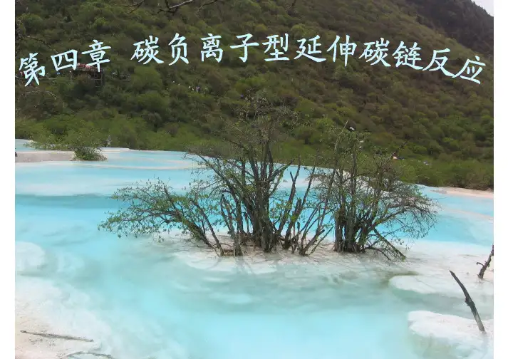 第四章碳负离子型延伸碳链反应