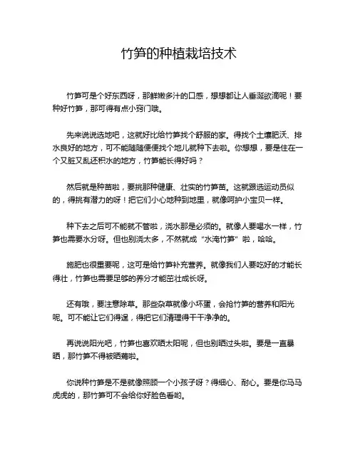 竹笋的种植栽培技术