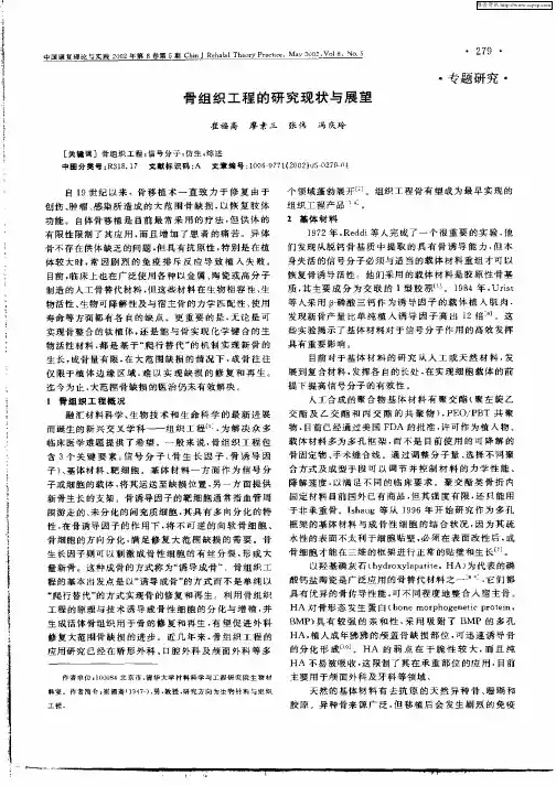 骨组织工程的研究现状与展望