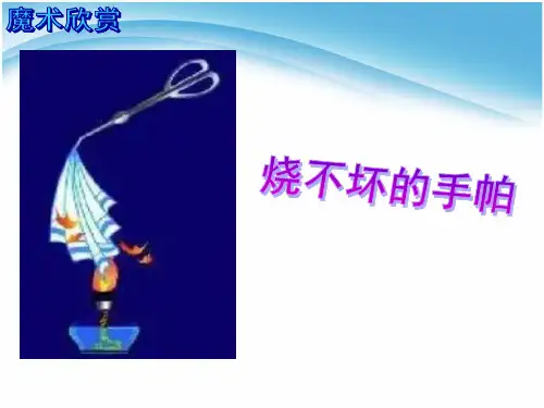 鲁教版化学九年级全册第六单元第一节《燃烧与灭火》优课比赛课件