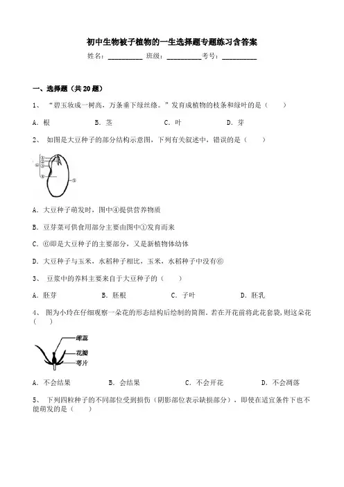 初中生物被子植物的一生选择题专题练习含答案