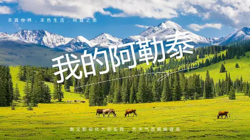 我的阿勒泰作品介绍PPT模板
