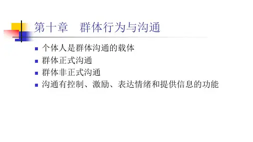 第十章   群体行为与沟通(《组织行为学》PPT课件)