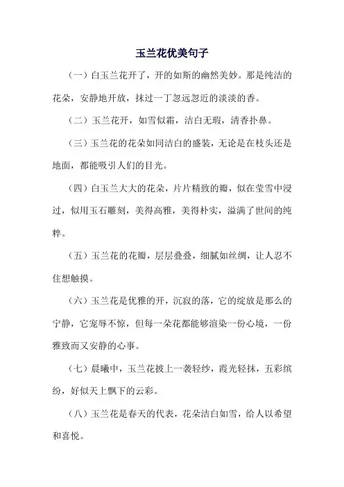 玉兰花优美句子