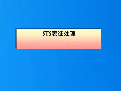 STS表面处理技术培训课件