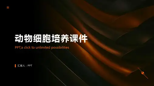 动物细胞培养课件