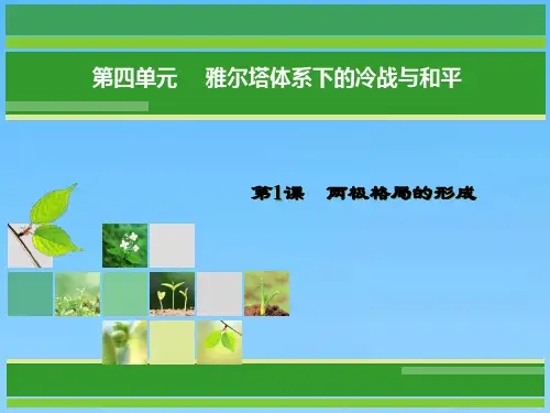 历史(人教版选修3)课件41两极格局的形成