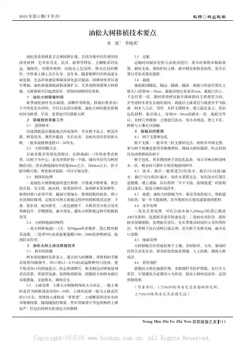 油松大树移植技术要点