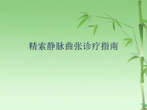 精索静脉曲张诊疗指南(共17张PPT)