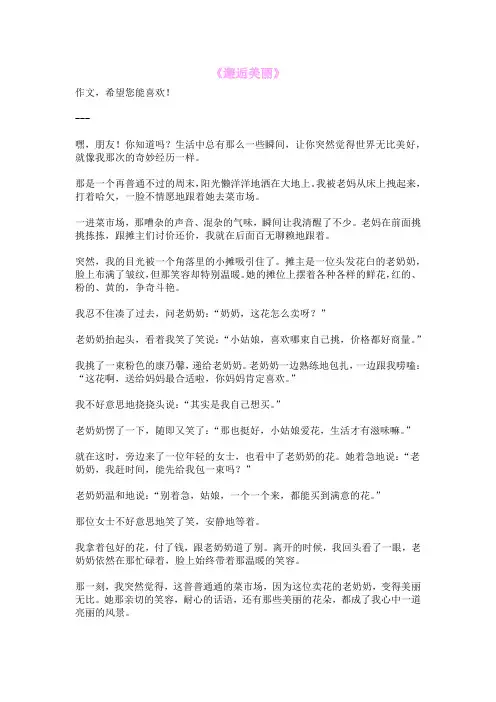 《邂逅美丽》
