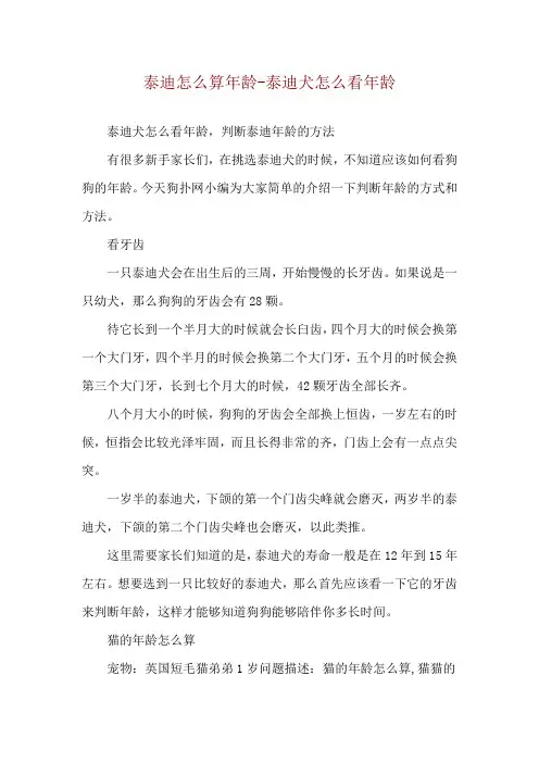 泰迪怎么算年龄-泰迪犬怎么看年龄