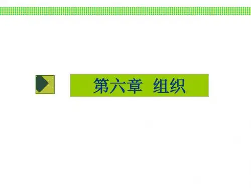 第六章 组织
