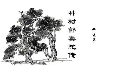 第11课《种树郭橐驼传》课件-统编版高中语文选择性必修下册