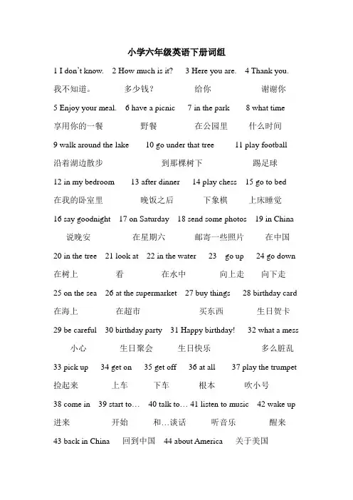 小学六年级英语下册词组