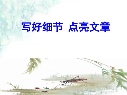 作文指导 写好细节,点亮文章ppt教研课件-PPT精美课件
