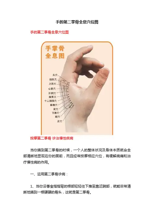 手的第二掌骨全息穴位图