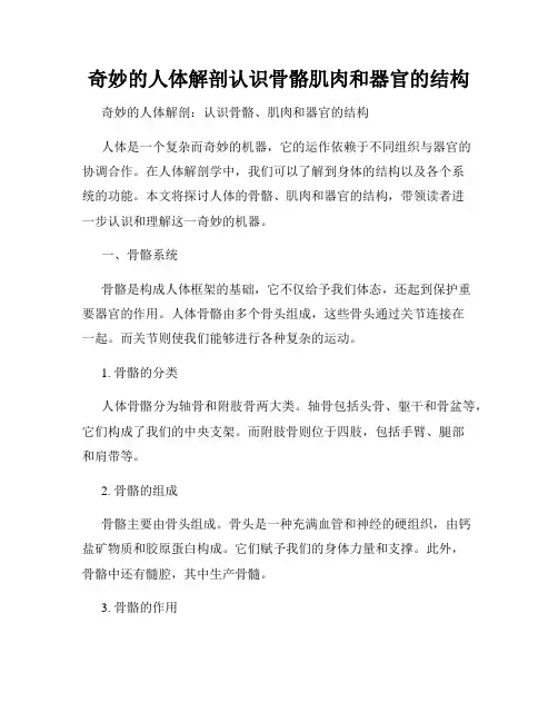 奇妙的人体解剖认识骨骼肌肉和器官的结构
