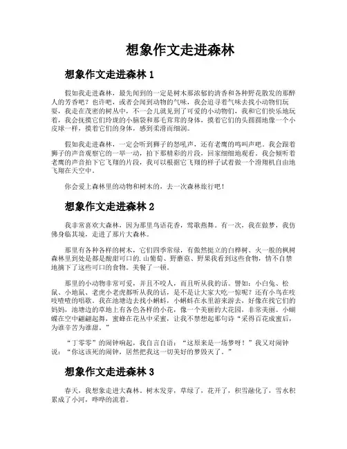 想象作文走进森林