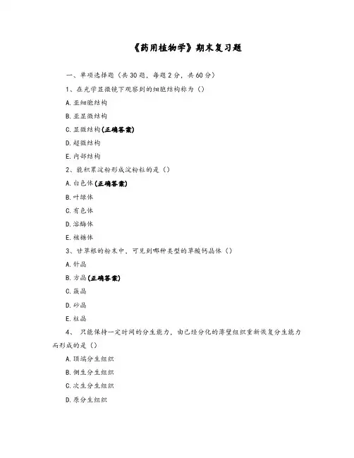 《药用植物学》期末复习题