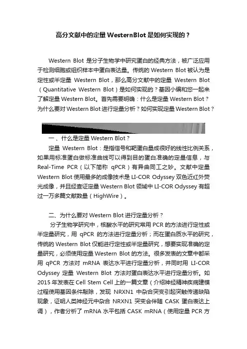 高分文献中的定量WesternBlot是如何实现的？