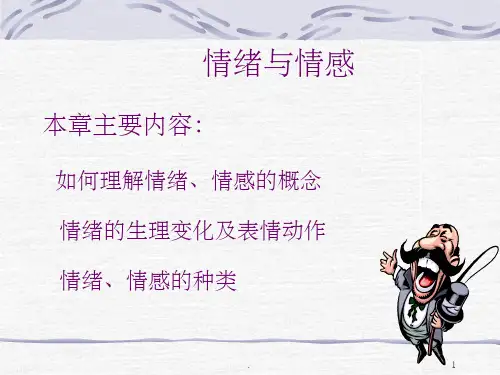 情绪与情感ppt课件