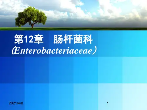 肠杆菌科PPT课件【82页】