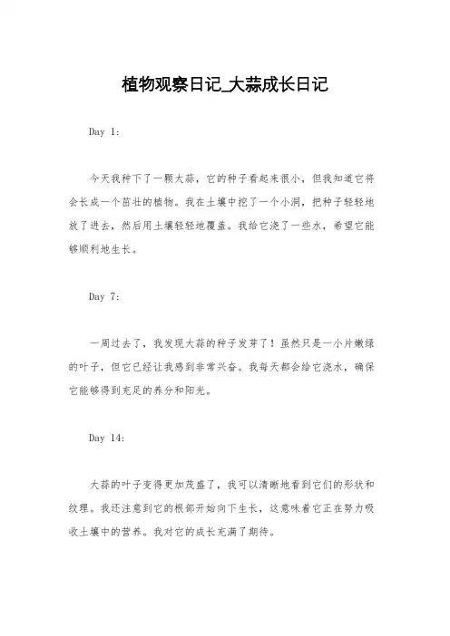 植物观察日记_大蒜成长日记