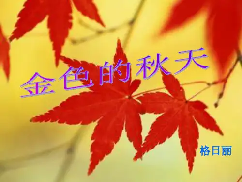 综合实践秋天的树叶.PPT课件