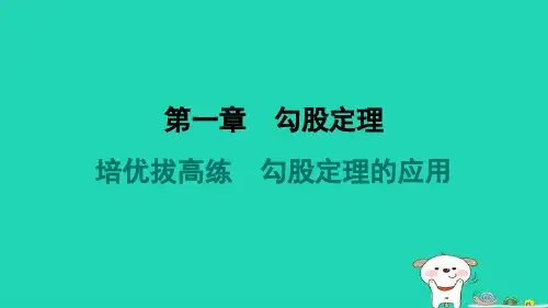 八年级数学上册第1章勾股定理拔高练勾股定理的应用新版北师大版