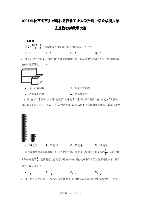 2024年陕西省西安市碑林区西北工业大学附属中学丘成桐少年班选拔初试数学试题