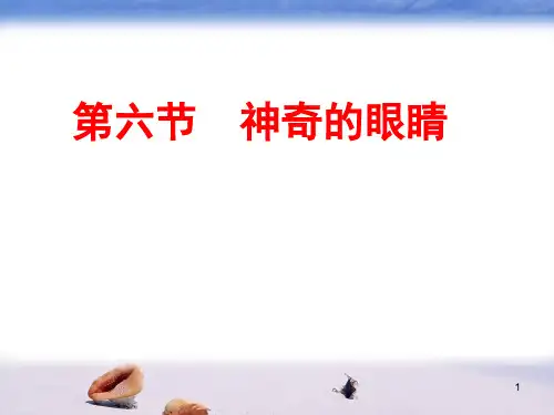 神奇的眼睛ppt课件